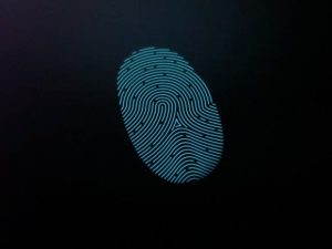 finger print image